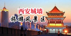 女生舔男生下面视频网站中国陕西-西安城墙旅游风景区